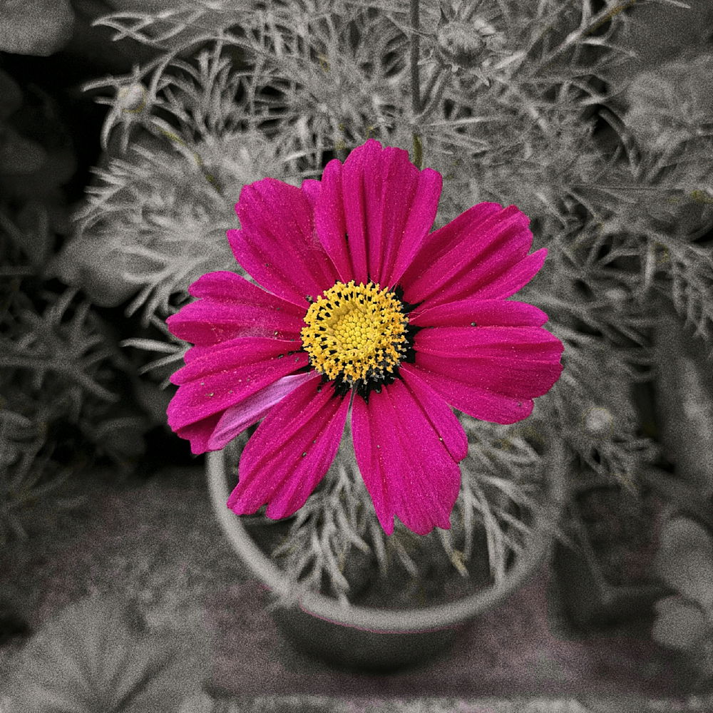 Beautiful