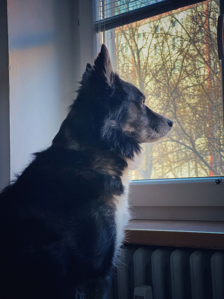 Home security system