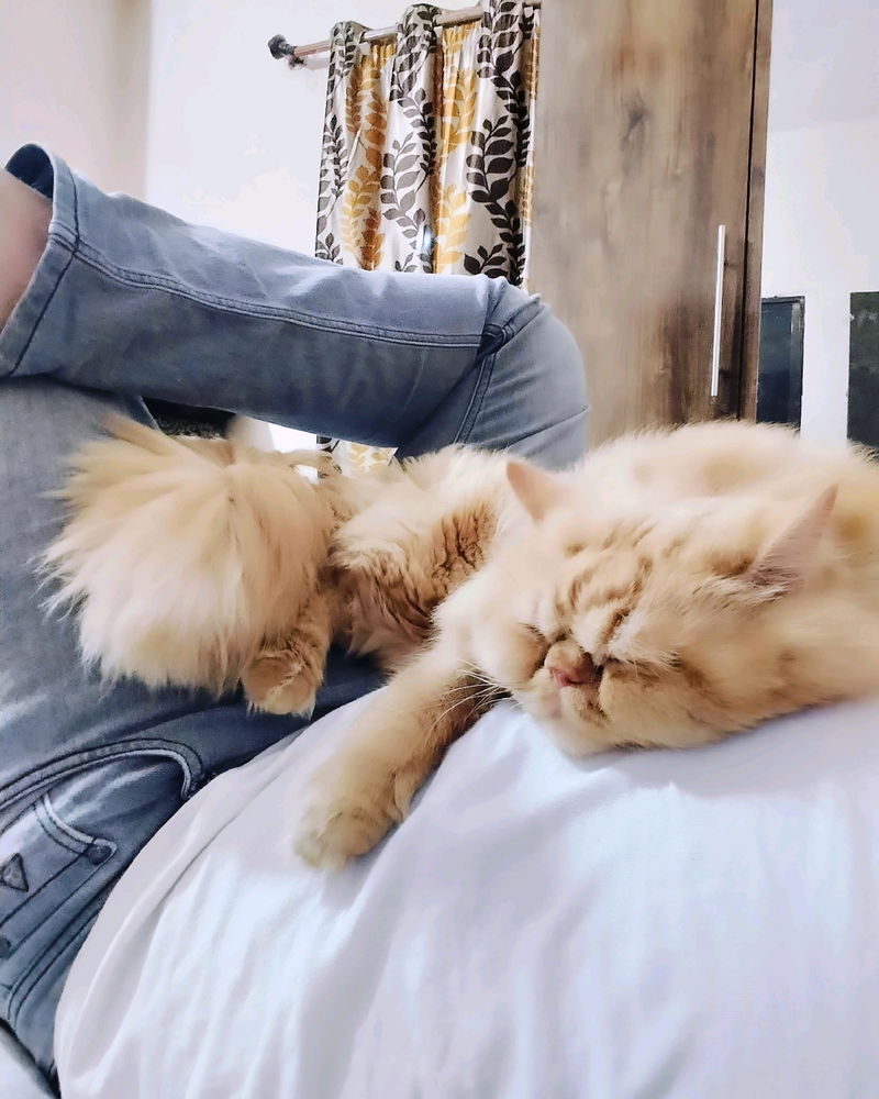Coco❤️