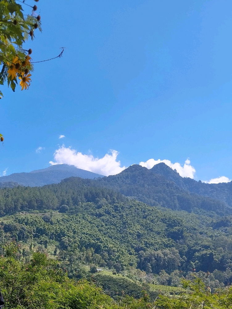 素晴らしい天気と美しい山々
