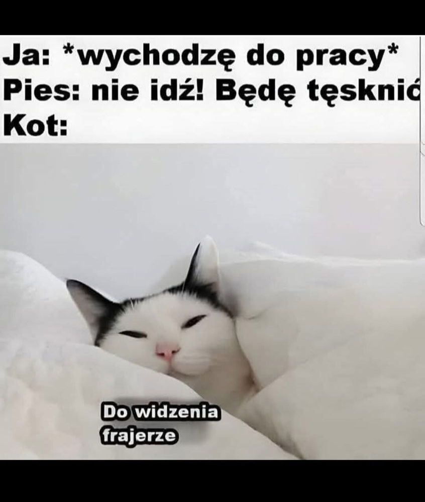 Do widzenia