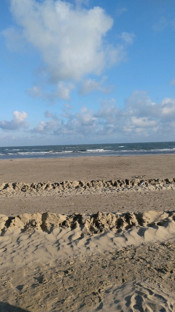 saudades de uma praia đźâđš