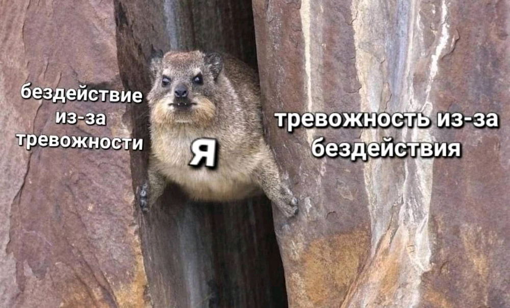 Баланс это главное