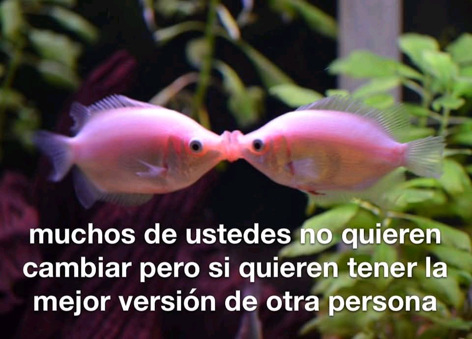 Así es