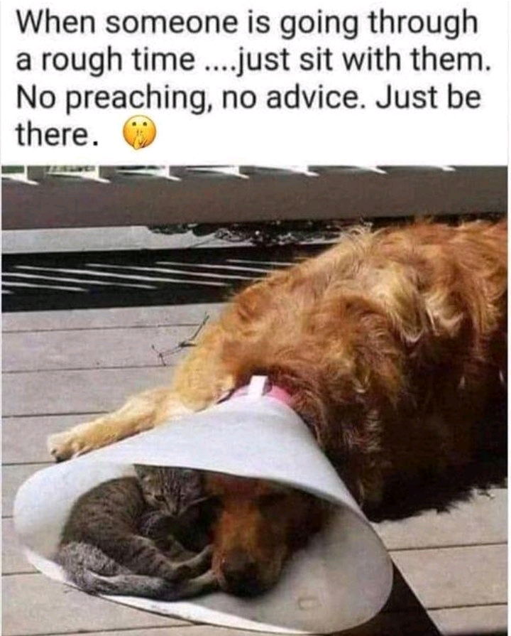 .