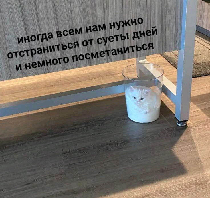 +