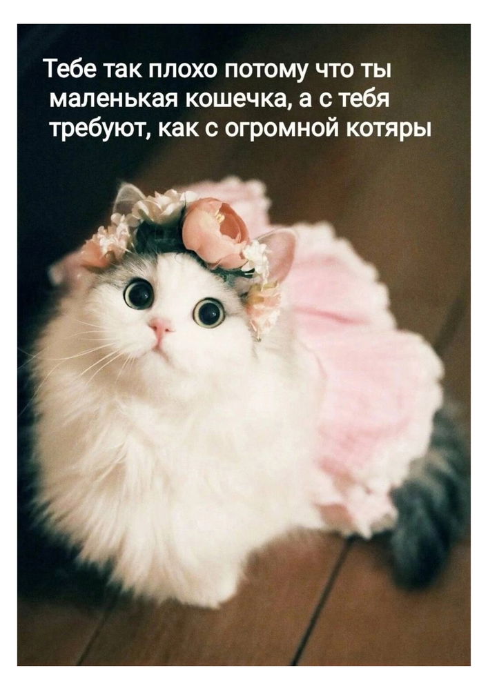 Собираюсь купить мотоцикл и так много вопросов и так мало ответов 🥲