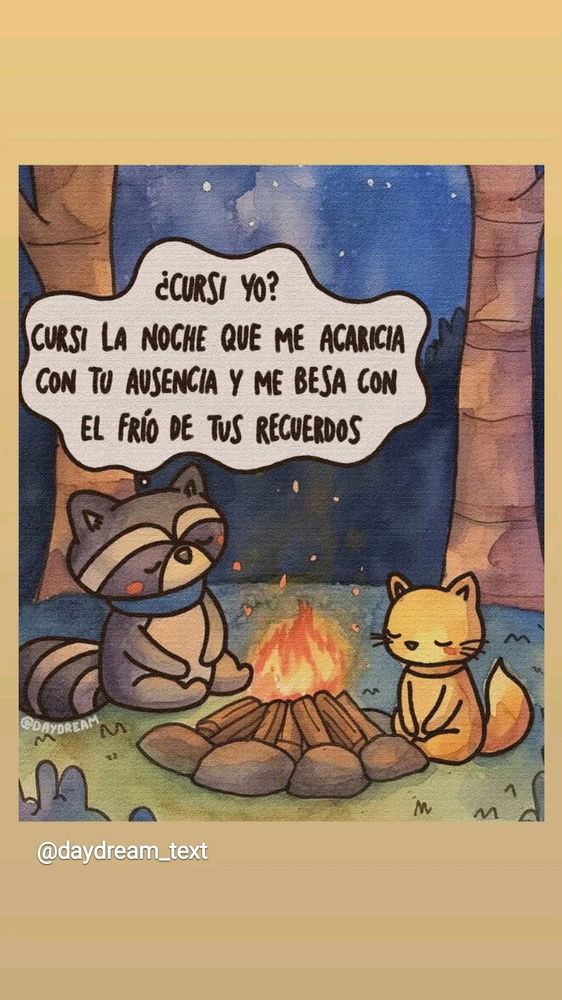 ✨
