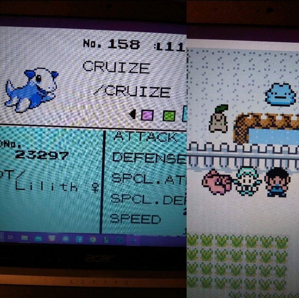 My Favorite Pokémon Rom Hacks