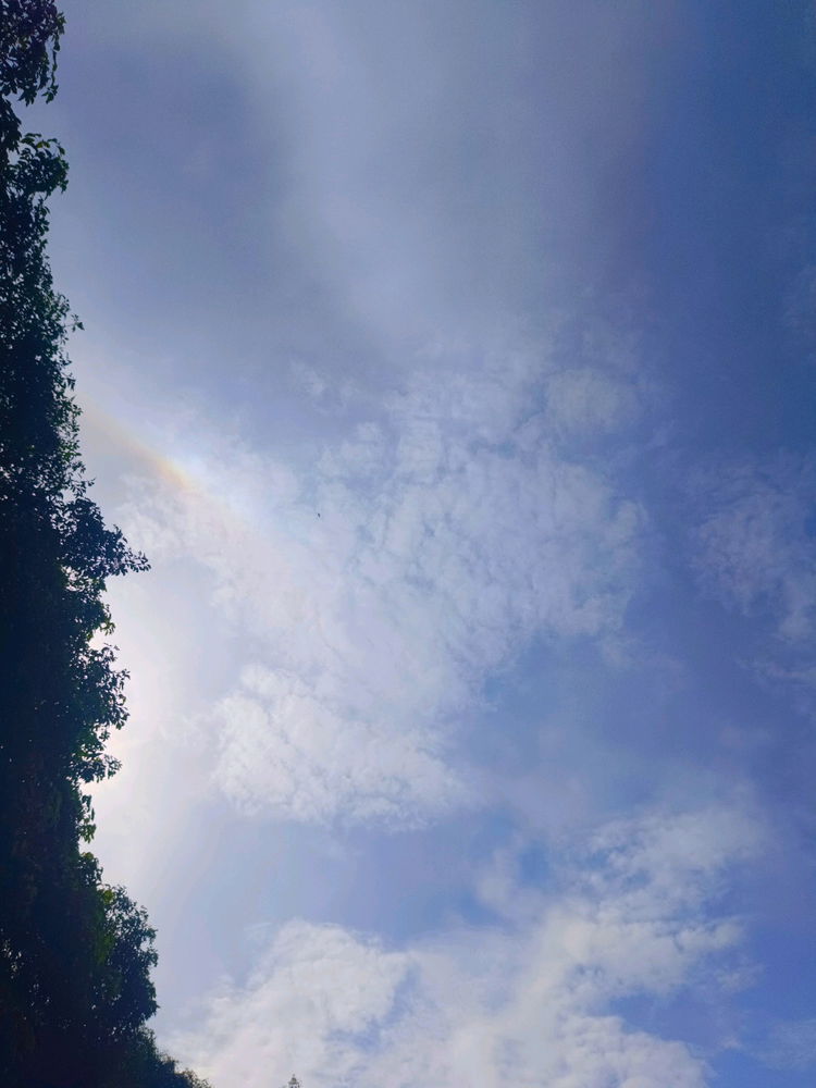 青空