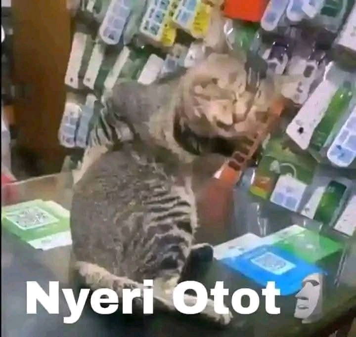 encok