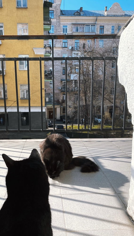 Double black