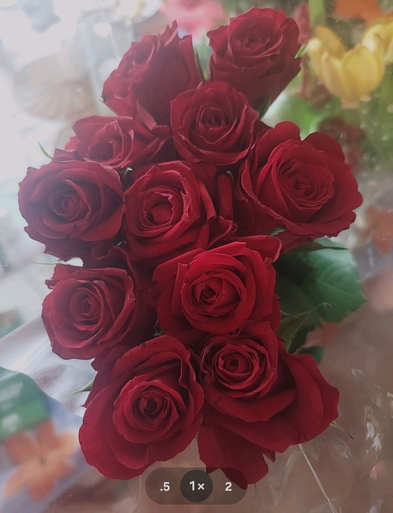 Včerejší růže od bráchy🌹🌹🌹ke svátku😀😜