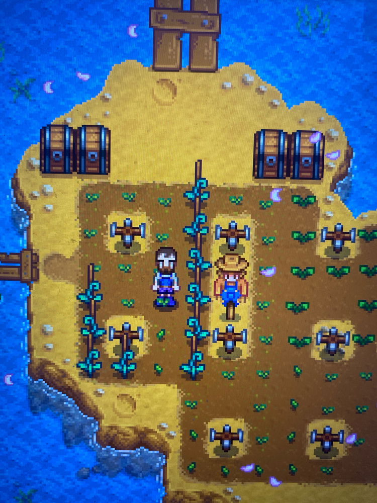 Stardew Valley