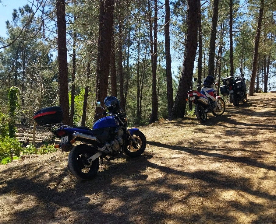 Um domingo bem passado
