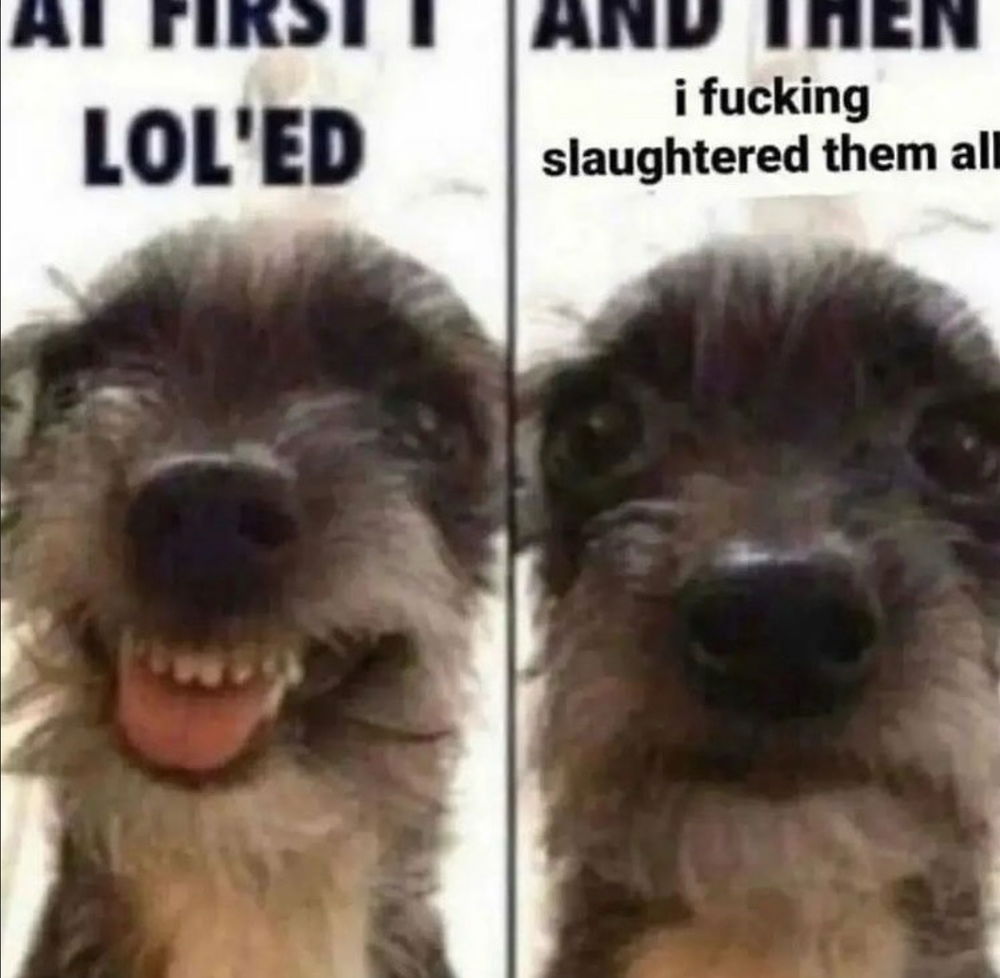😸