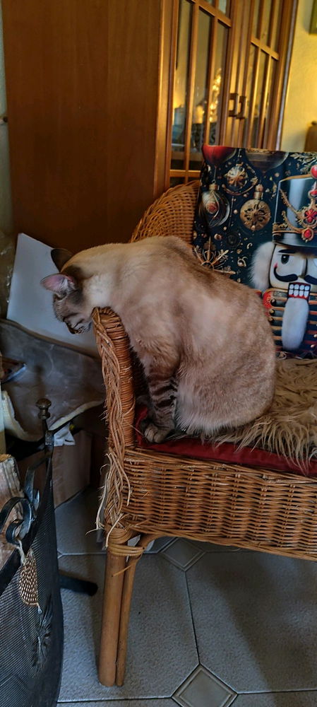 m00d 😼