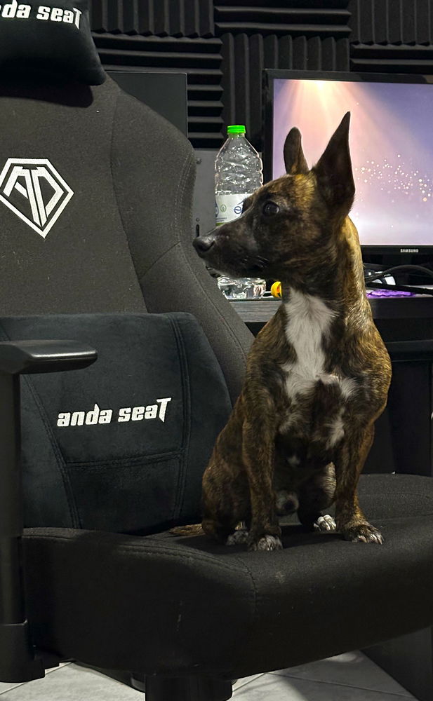 Ο Gamer
