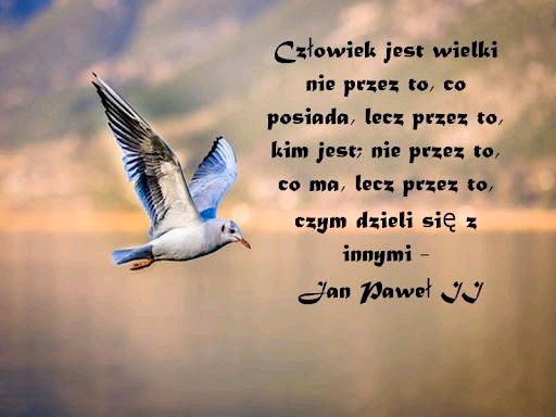 Wielkość