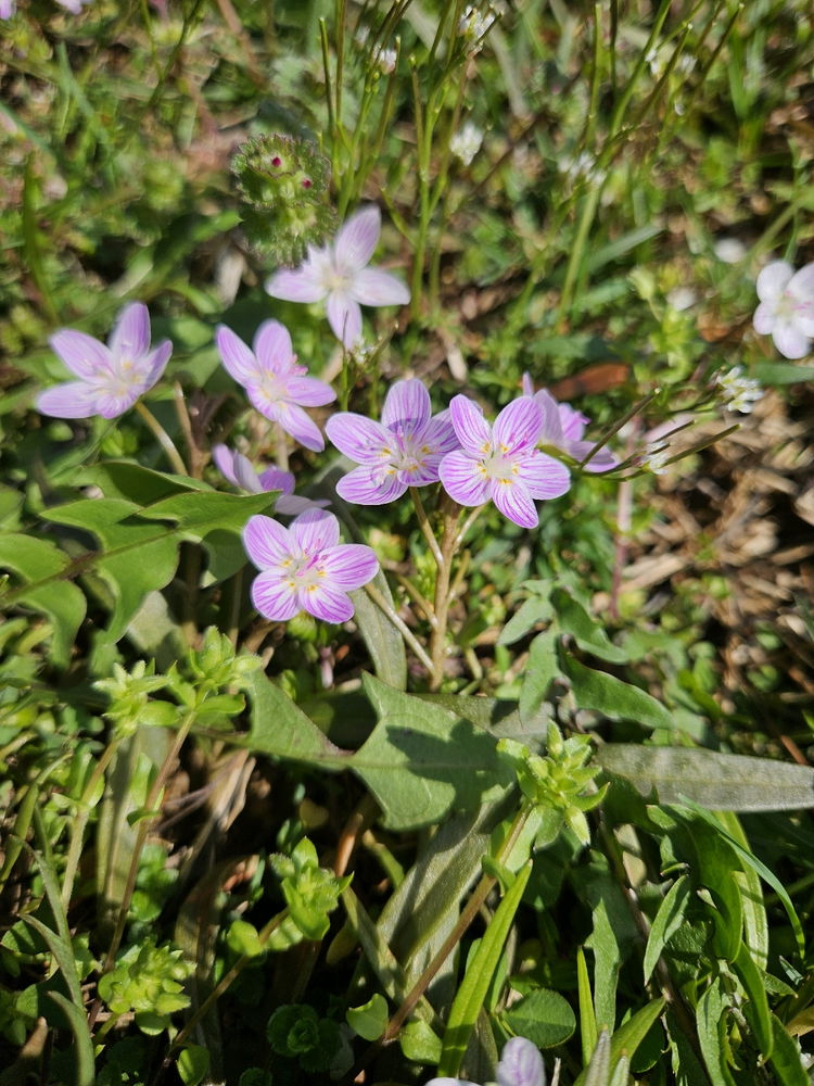 Spring Photo Dump 2