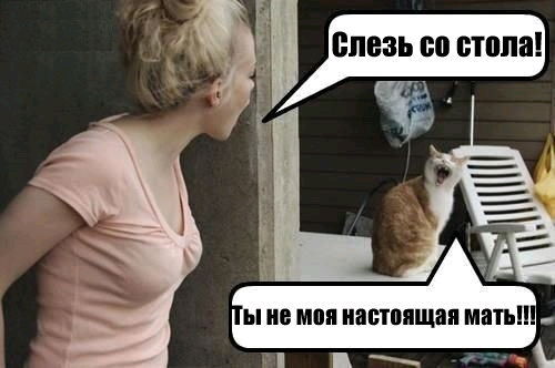 Кэт Мем 🐈‍⬛🐱🐈