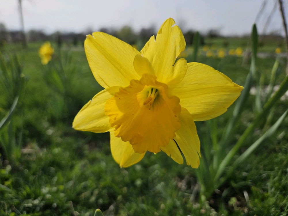 Spring Photo Dump 3