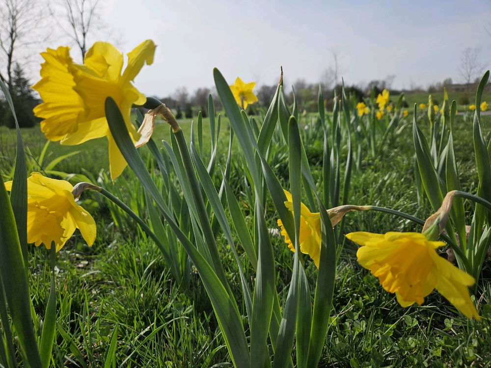 Spring Photo Dump 3