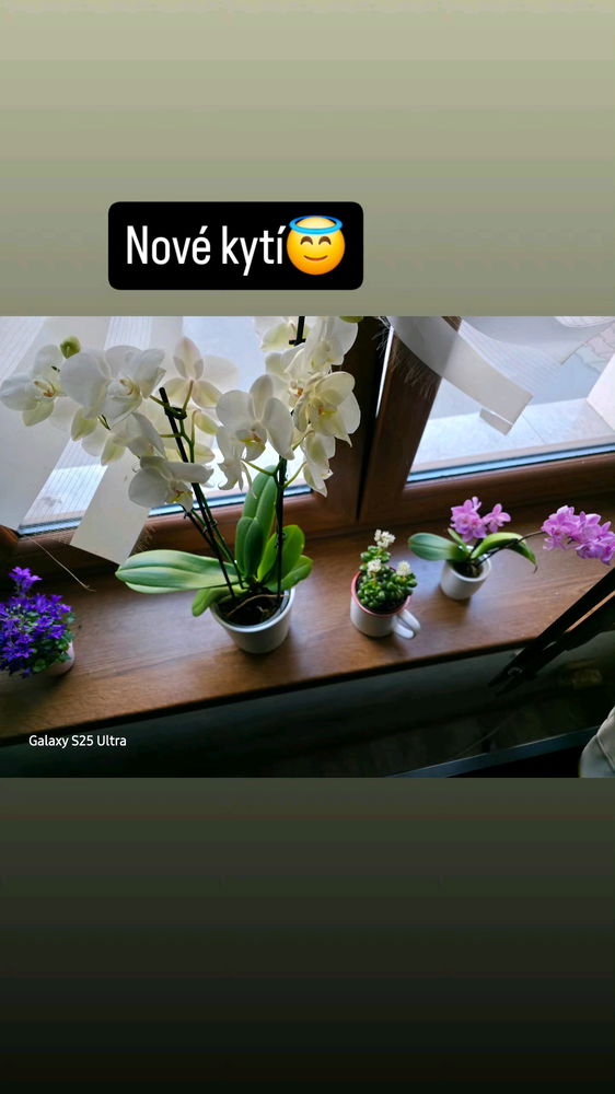 :)