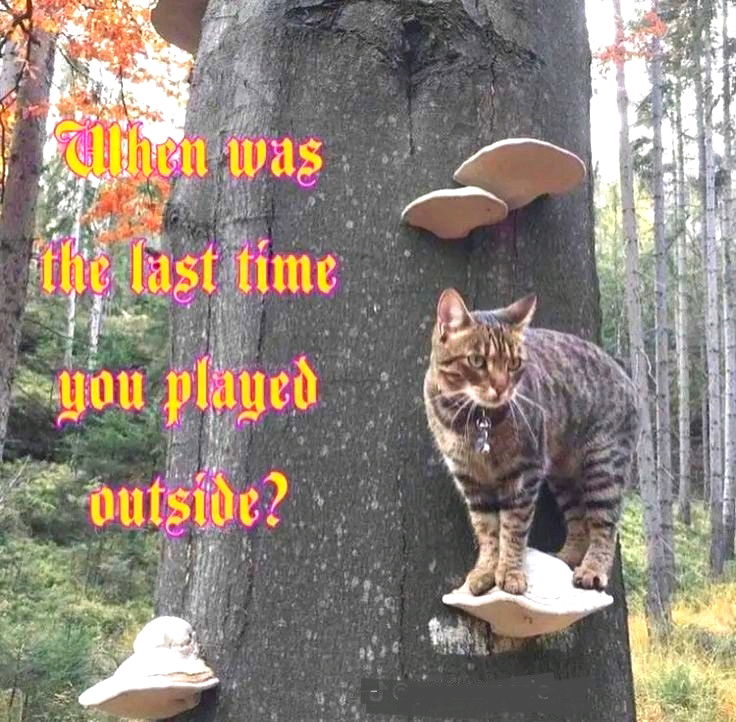 ❔️