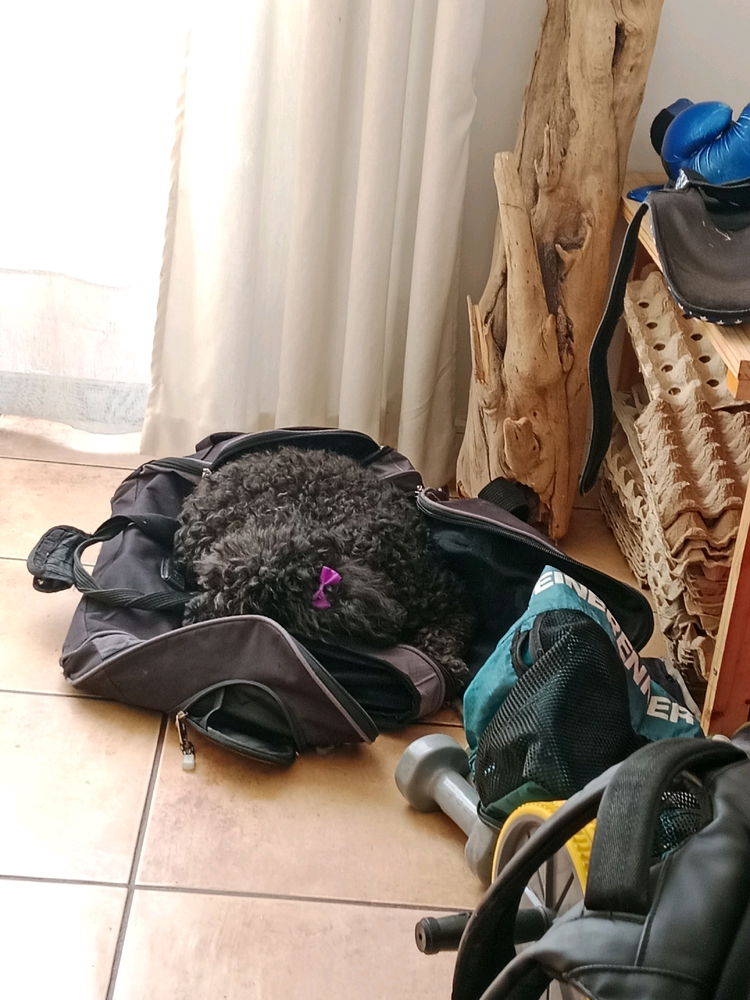 La Pelusa