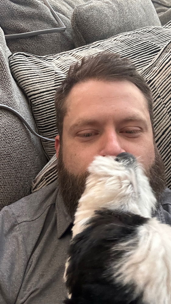 Dog Watching