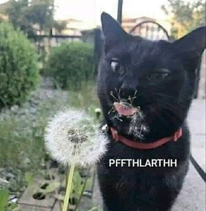 🤣