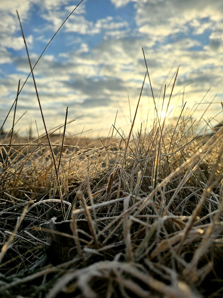 Frosted grass and the first sun — a morning worth waking up for