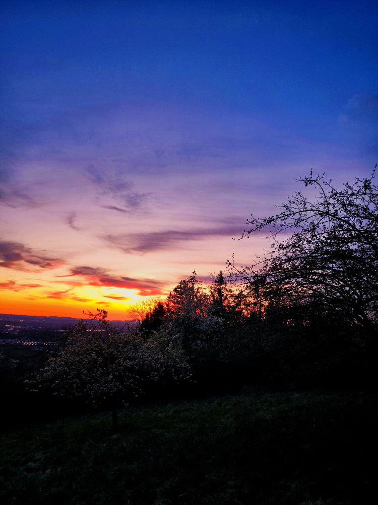 Manchmal braucht es nur einen stillen Moment in der Natur, um sich selbst wiederzufinden