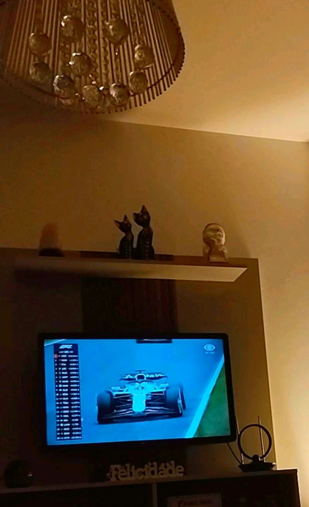 F1