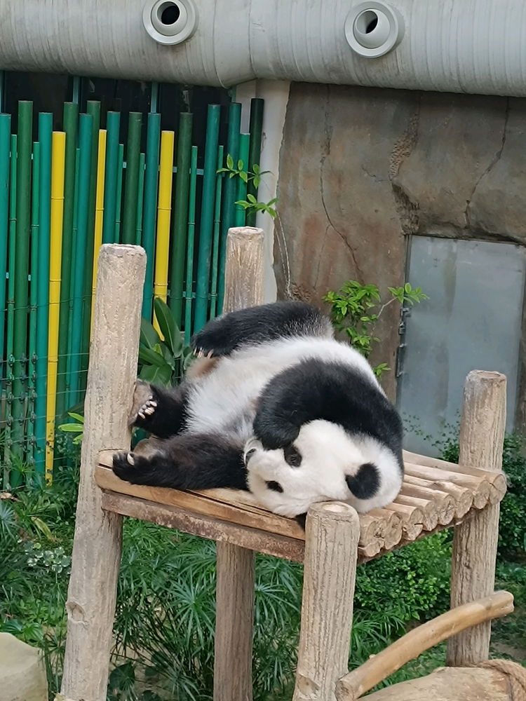 cool local zoo..
