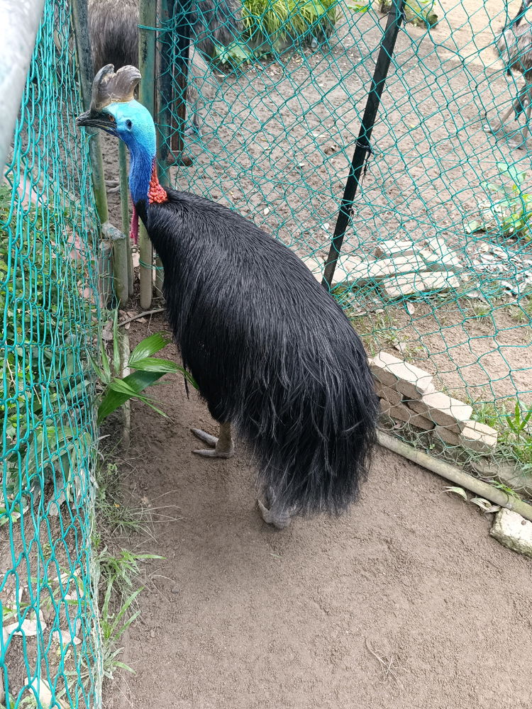 cool local zoo..
