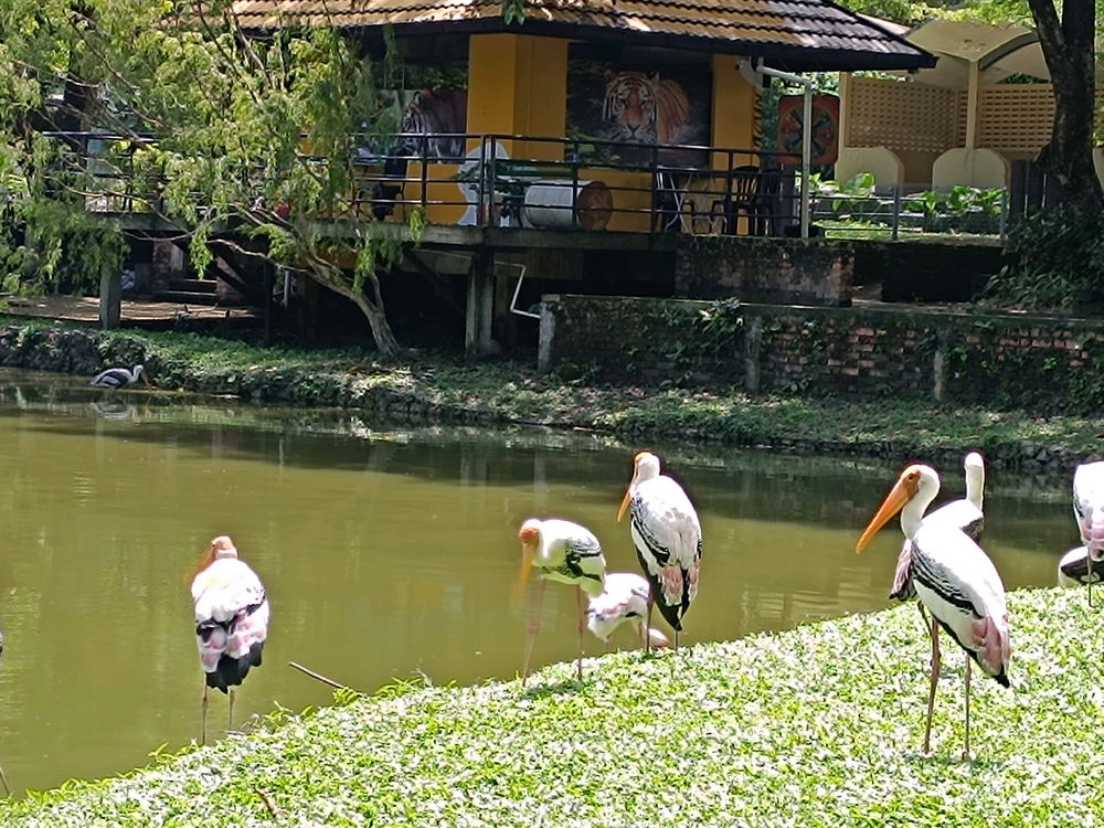 cool local zoo..