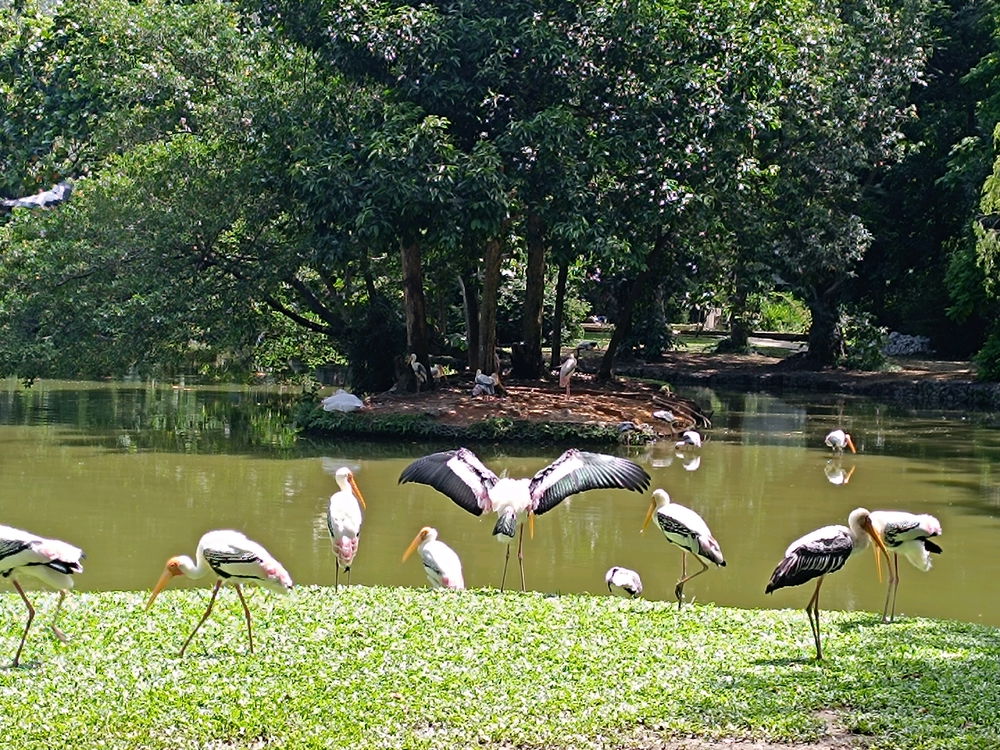 cool local zoo..