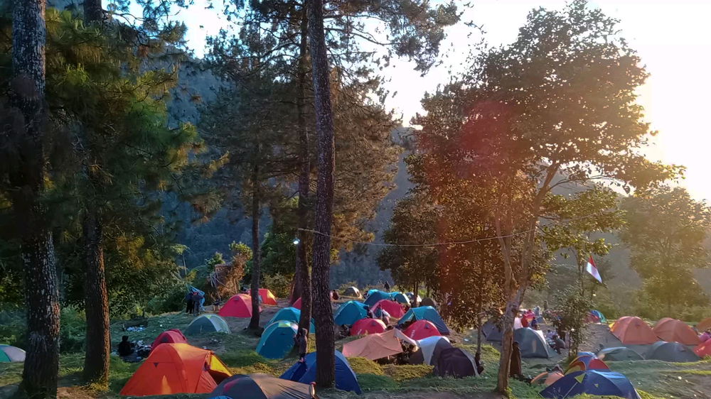 Camp