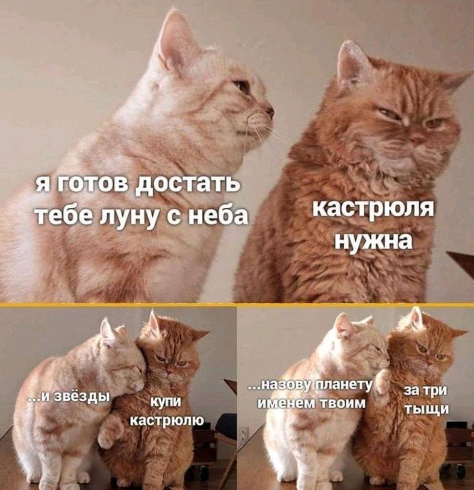 🤣
