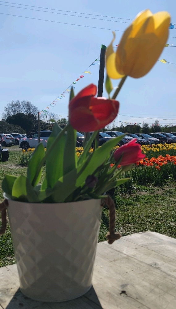 ☀️