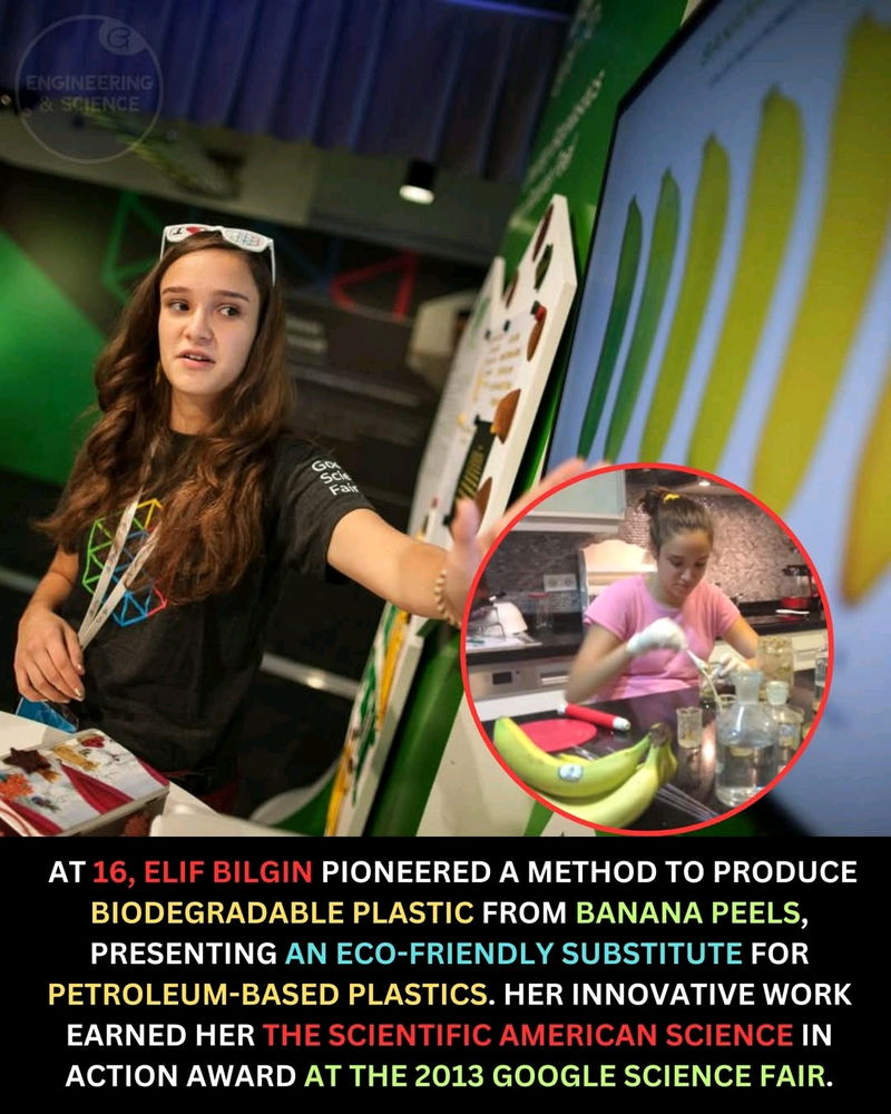 Biodegradable plastic from banana peels