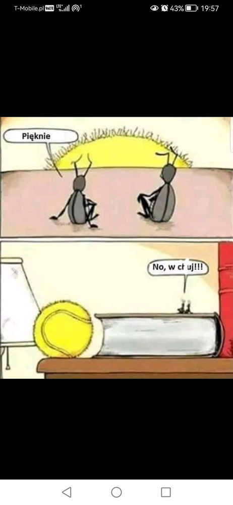 Pięknie