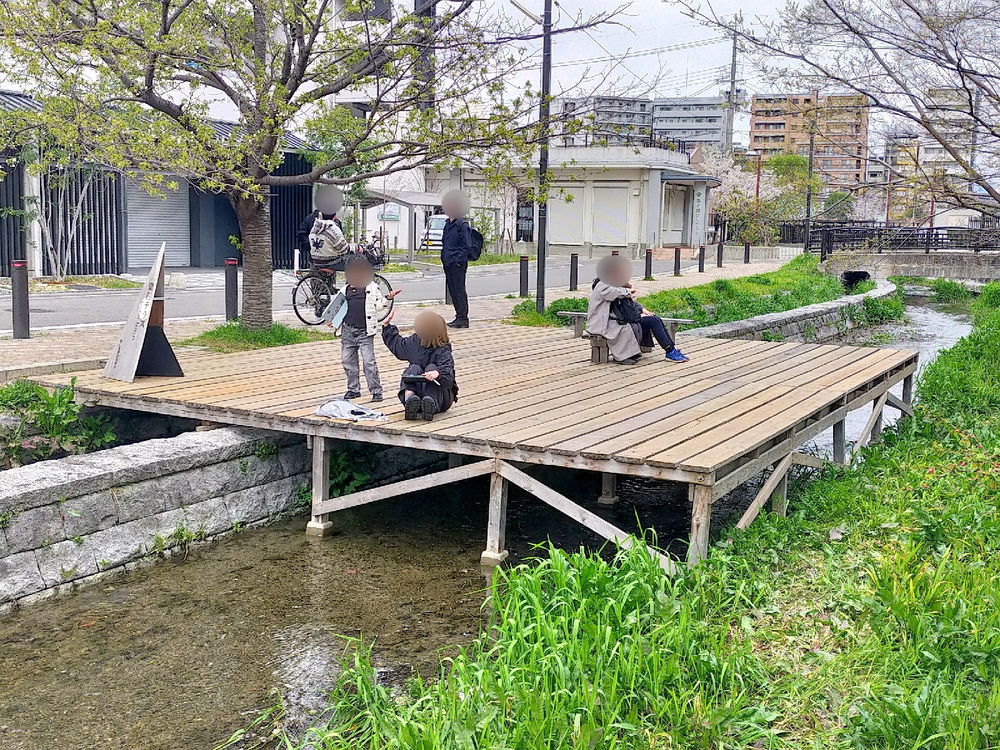 花桃と「崇仁テラス」(京都市)