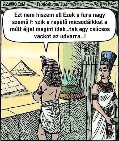 🙄 Hát lehetett akár így ... 😹🤔