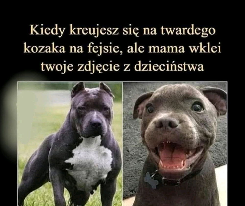 Album rodzinny. Niczym teczka IPN.🫠