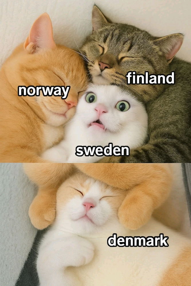 Europe Kitty Map