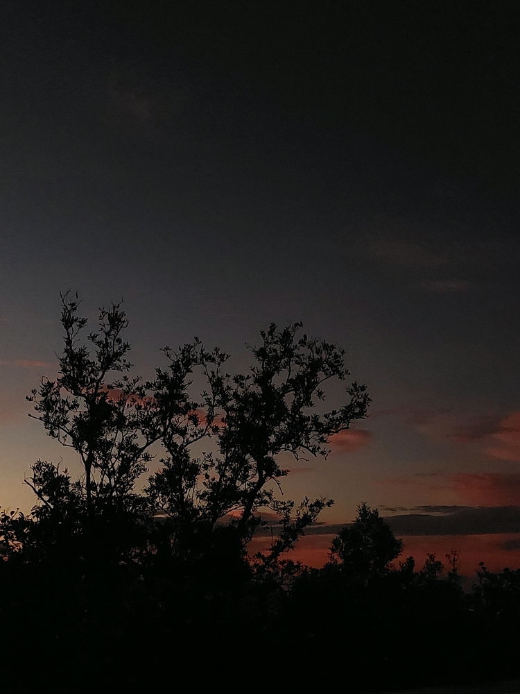 Good night, Sunshine 🌞🌛