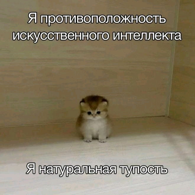 Почему?